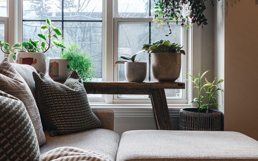 Cozy Natural Killarney Home