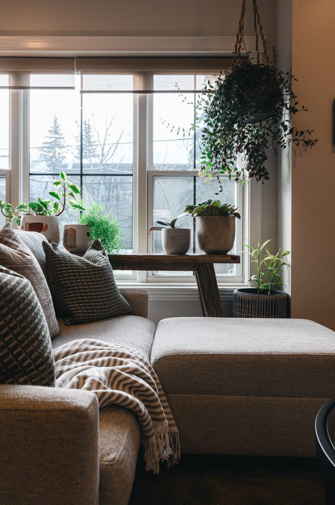 Cozy luxury killarney home interior decorating Living Room plants unshelf design. Grey sectional with green throw pillows.