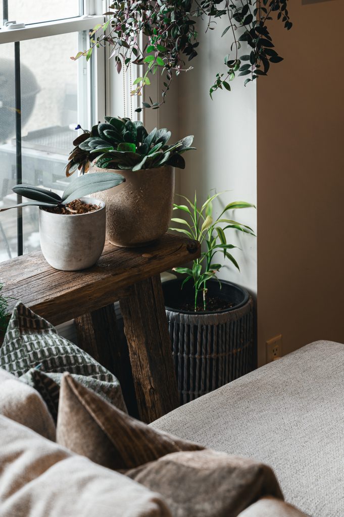 HealingPlants