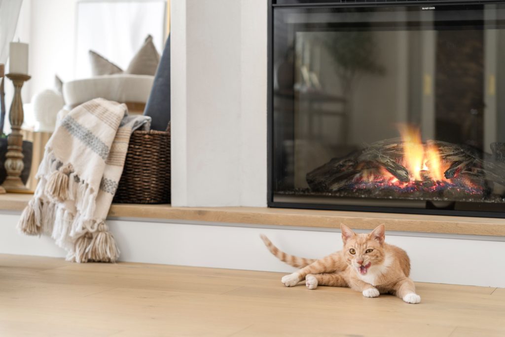 basement wellness space build out interior design and furnishing cat by fireplace unshelf design