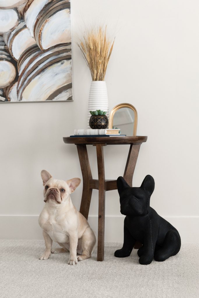 modern mountain v2 interior design and furnishing frenchie decor unshelf design